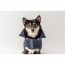 GF PET  DENIM JACKET  DENIM  2XS (MDISC)