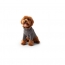 GF PET  Gondola Base Layer  CHARCOAL  2XS