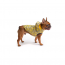 GF PET  Reversible Raincoat  YELLOW  M
