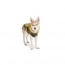 GF PET  Reversible Raincoat  YELLOW  L