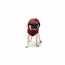 GF PET  Reversible Raincoat  RED  XL