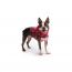 GF PET  Reversible Raincoat  RED  XL
