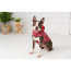 GF PET  Reversible Raincoat  RED  XL