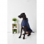GF PET  Reversible Raincoat  NAVY  4XL