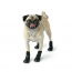 GF PET  Elasto-Fit Boots  XS