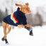 GF PET  Elasto-Fit Boots  XS