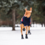 GF PET  Elasto-Fit Boots  M