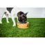GF PET  Mango Wood Bowl  S