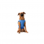 GF PET  Elasto-Fit Ice Vest - S