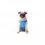 GF PET  Elasto-Fit Ice Vest - M