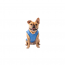 GF PET  Elasto-Fit Ice Vest - L