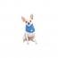 GF PET  Ice Band - XS