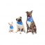 GF PET  Ice Band - L/XL