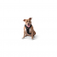 GF PET - TRAVEL HARNESS - BLACK - M (WHSL DISC)