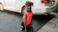 GF PET - TRAVEL HARNESS - RED - L (WHSL DISC)