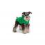 GF PET  Reversible Raincoat - GREEN - L