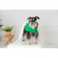 GF PET  Reversible Raincoat - GREEN - XL