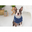 GF PET  Trekking Sweater - BLUE - XS