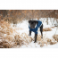 GF PET  Trekking Sweater - BLUE - XS