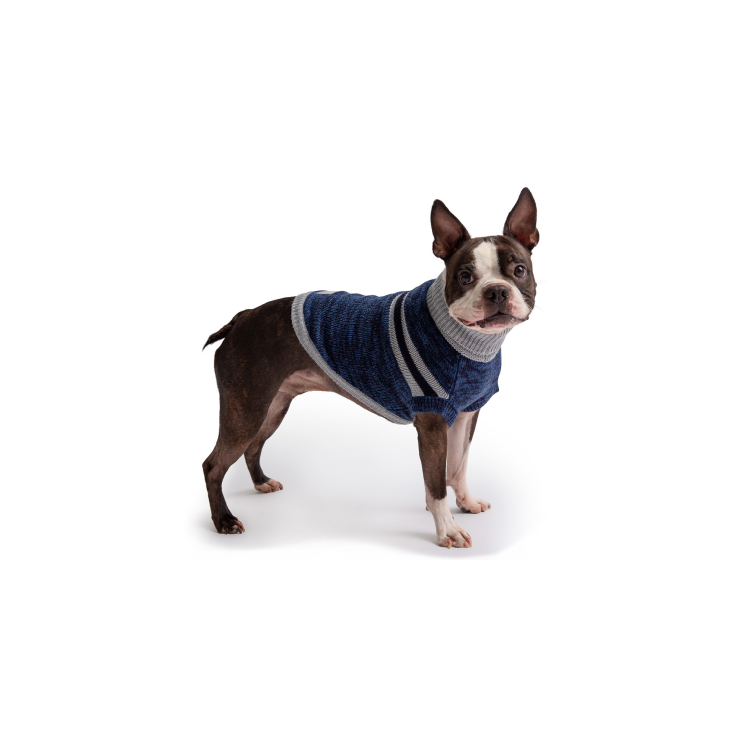 GF PET  Trekking Sweater - BLUE - L