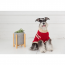 GF PET  Trekking Sweater - RED - XS