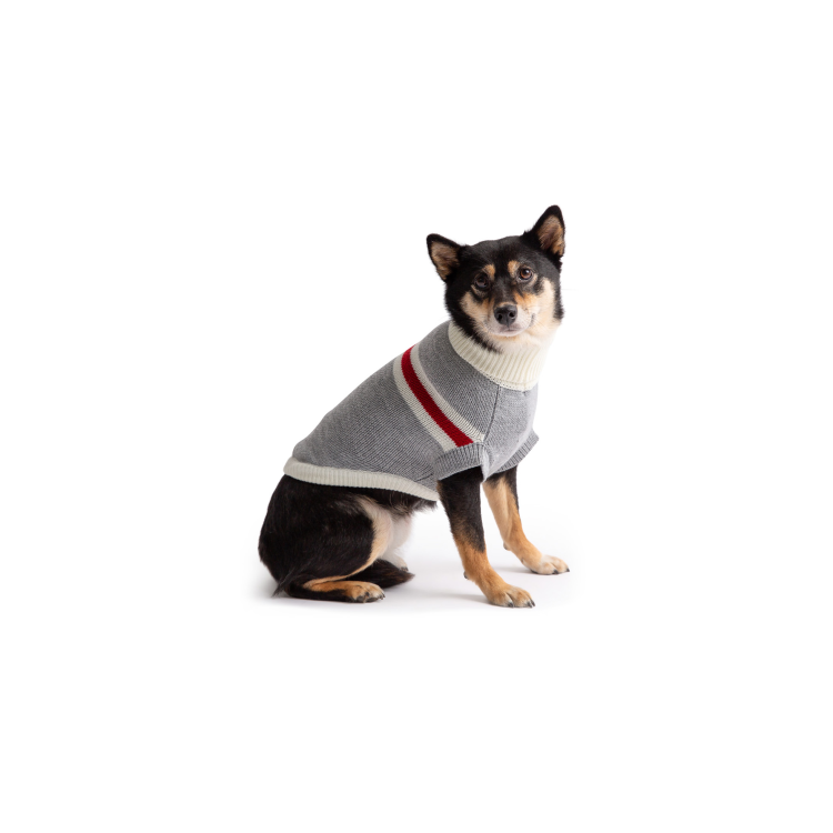 GF PET  Trekking Sweater - GREY MIX - 2XS