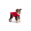 GF PET  Urban Parka - RED - L