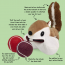 GNAWSOME Forest Friends 3-in-1 TennisBall LRG Squirrel 2ball