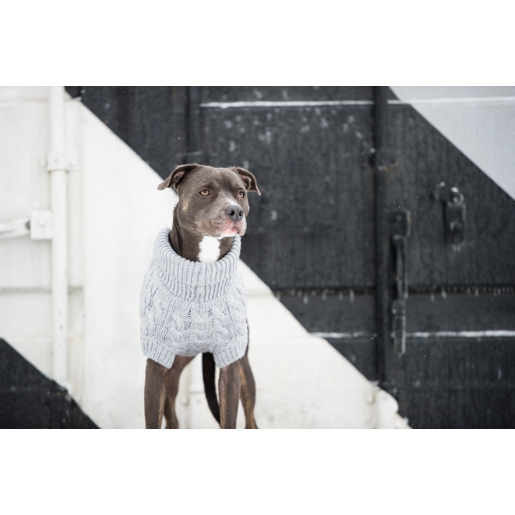 GF PET  Chalet Sweater - GREY MIX - 3XS