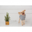 GF PET  Chalet Sweater - GREY MIX - 2XS