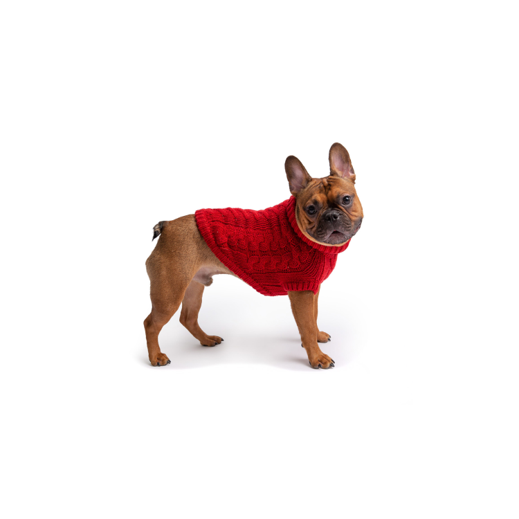 GF PET  Chalet Sweater - RED - XS
