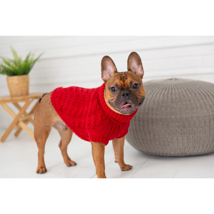 GF PET  Chalet Sweater - RED - XS