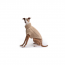 GF PET  Chalet Sweater - OATMEAL - 3XS