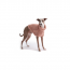 GF PET  Chalet Sweater - PINK - 3XL