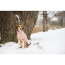 GF PET  Chalet Sweater - PINK - 3XL