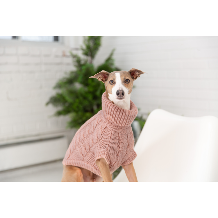 GF PET  Chalet Sweater - PINK - 4XL