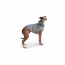 GF PET  Urban Hoodie - HEATHER GREY - M