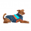 GF PET - ALPINE PUFFER - DARK BLUE - 2XS  (MDISC)