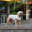 GF PET  Reversible Raincoat - NEON YELLOW WITH TIE DYE - XS