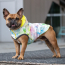 GF PET  Reversible Raincoat - NEON YELLOW WITH TIE DYE - M