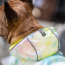 GF PET  Reversible Raincoat - NEON YELLOW WITH TIE DYE - M