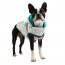 GF PET  Reversible Raincoat - NEON AQUA WITH IRIDESCENT - M