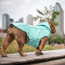 GF PET  Reversible Raincoat - NEON AQUA WITH IRIDESCENT - M