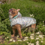 GF PET  Reversible Raincoat - NEON AQUA WITH IRIDESCENT - M