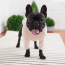 GF PET  Gondola Base Layer PINK S