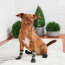 GF PET  All Terrain Boots BLACK 2XL