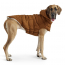 GF PET Elasto-Fit Arctic Parka WOOD M