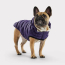 GF PET Elasto-Fit Cloud Parka PURPLE S