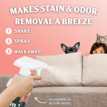 SPRINKLE & SWEEP - Pet Stain & Odor Eliminator Spray - 24oz