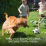 PET GENIE Dog Waste Disposal System w/Jumbo Refill